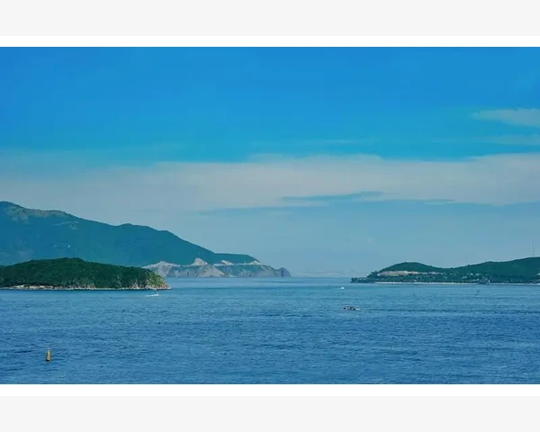 十岁孩子脾胃调养的中医科普指南