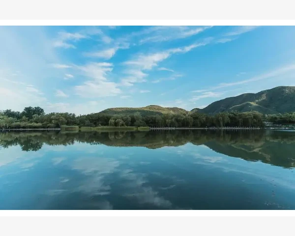 中医驱寒祛湿减肥：追溯千年智慧，重拾健康之道